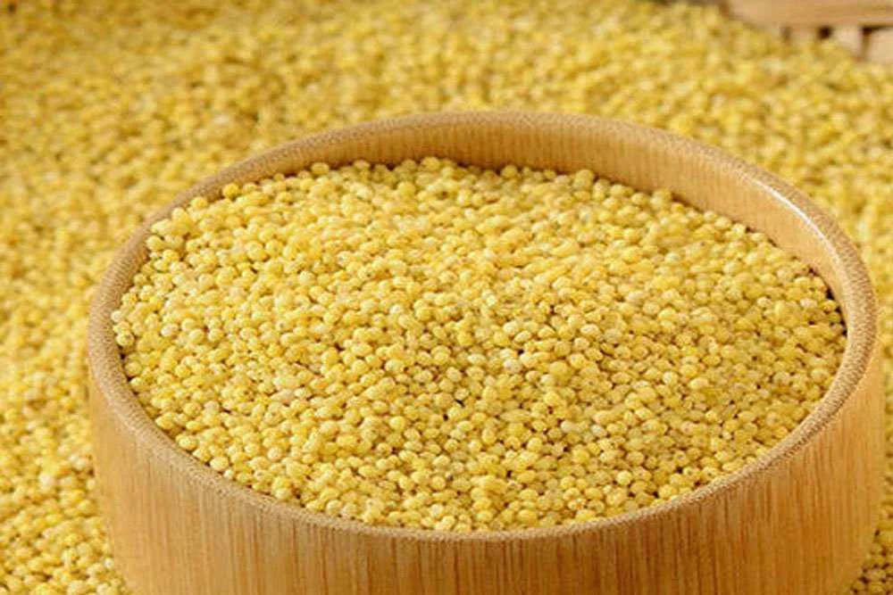 Foxtail Millets second image
