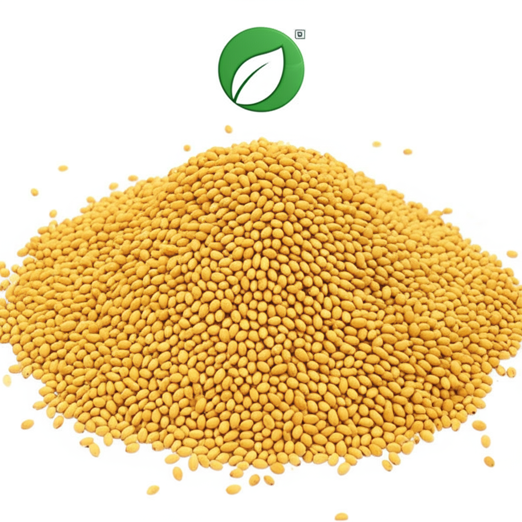 FOXTAIL MILLETS (Korralu) second image