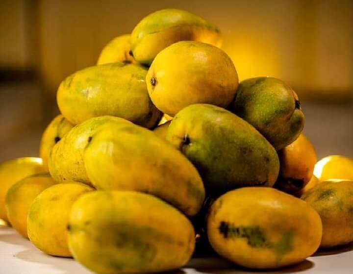 Himayath mango ( Imam Pasand)