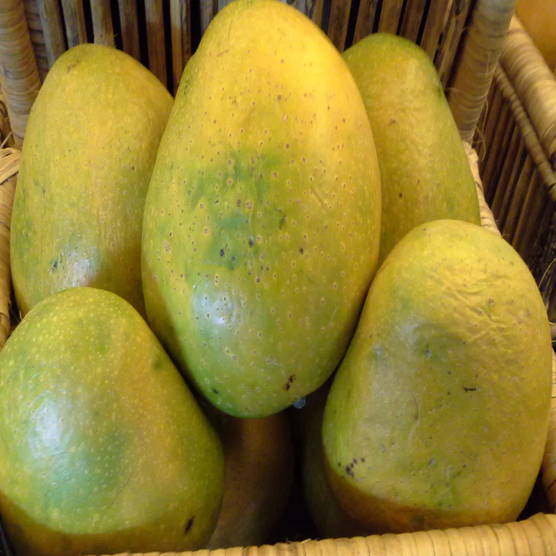 Himayath mango ( Imam Pasand) second image